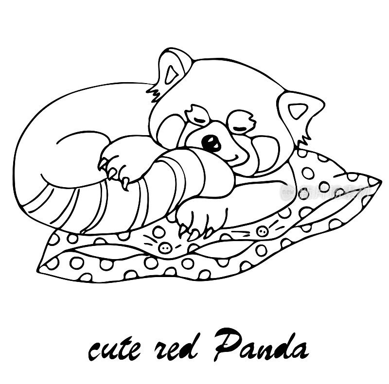 cute red Panda sleeping on a pillow
